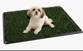 Yavru Köpek Tuvalet Eğitim Parkı 3 Katmanlı - 45cm X 32 Cm - 2