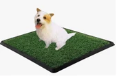 Yavru Köpek Tuvalet Eğitim Parkı 3 Katmanlı - 45cm X 32 Cm - 3