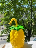 Ananas Pipetli Suluk - 2
