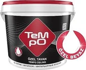 Tempo Tempo 1 Kg Özel Tavan Boyası - 1