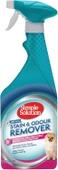 Simple Solution Leke ve Koku Giderici Sprey Bahar Esintisi 750ml - 1
