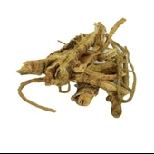 Melek Otu 250 Gr (Angelica archangelica), Derya Eren - 2