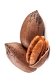 Pikan Ceviz 1 Kg. Kabuklu Pecan Nut - 2