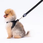 PawStar L04 Siyah Sevk Kayışı - 2