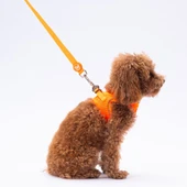 PawStar L02 Neon Turuncu Sevk Kayışı - 2