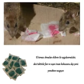 Haşere Böcek Fare Sıçan Zehiri Katı Pasta 100 gr Hazır Zehirli Katı Yiyecek 1 Adet - 5