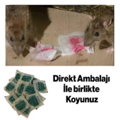 Haşere Böcek Fare Sıçan Zehiri Katı Pasta 100 gr Hazır Zehirli Katı Yiyecek 1 Adet - 3