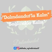 Yeni Mahsul Doğal Organik Medine Hurması (Mebrum) 250 gr - 2