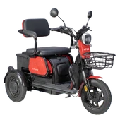 Apec APM2 1000 W 3 Tekerlekli Elektrikli Motosiklet - 1