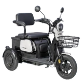Apec APM2 1000 W 3 Tekerlekli Elektrikli Motosiklet - 2