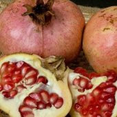 TÜPLÜ KATIRBAŞI NAR FİDANI100-120 CM - 1