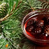 NATUREL KOZALAK PEKMEZİ ( ŞEKER İLAVESİZ ) - 4