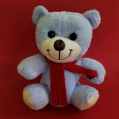Mavi Peluş Ayı - 1