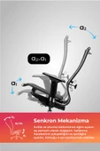 Ergolife Synchrosit 10 Ergonomik Ofis Sandalyesi | Ayarlanabilir Kolçaklı, Fileli, Çalışma Sandalyesi -1FC.3.1.544 - 3