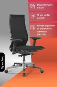 Ergolife Synchrosit 10 Ergonomik Ofis Sandalyesi | Ayarlanabilir Kolçaklı, Fileli, Çalışma Sandalyesi -1FC.3.1.544 - 1