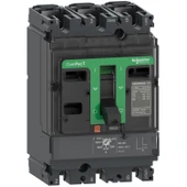 Schneider Şalter NSX100F 36kA 25A,LV429742 - 1