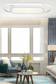 Modern Led Avize Plafonyer Üç Renkli Beyaz ve Ledli Avize - 1
