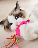 Balıklı Kedi Oyun Oltası 90 Cm - 2