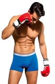 Looksense Erkek Dude Renkli Likralı Boxer 1300 thumbnail 1