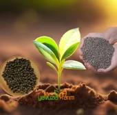 Gübre Dap Diamonyum Fosfat 18 46 0 Azot Fosfor Bitki Meyve Sebze Granül NP Taban Gübresi 5 Kg thumbnail 1