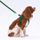 PawStar L08 Çam Yeşili Sevk Kayışı - 3