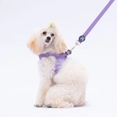 PawStar L10 Lila Sevk Kayışı - 2