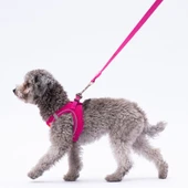 PawStar L12 Fuşya Sevk Kayışı - 2