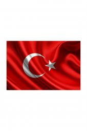 Vatan Bayrak Polyester 20X30 Cm. - 1