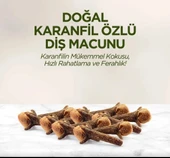 Nessiworld Eyüp Sabri Tuncer Doğal Diş Macunu 90 Gr Karanfil thumbnail 4