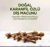 Nessiworld Eyüp Sabri Tuncer Doğal Diş Macunu 90 Gr Karanfil - 4