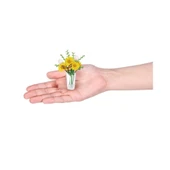 Nessiworld MN800010 - MN800000 Mini Brands - Botanik Bahçe 77559 - 5