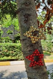3lü Dekoratif Parlak Boncuklu Yıldız Ağaç Süsü 10cm - 3