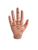 KENPAZAR El Maketi Akupunktur Noktaları 835 - 5