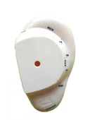 KENPAZAR Kulak Maketi Akupunktur Noktası - 2