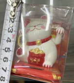 KENPAZAR Şanslı Kedi - 1