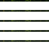 Isırgan Otu 50g - 3