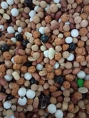 5 KG KARIŞIK KURUYEMİŞ EKO DÜĞÜN ÇEREZİ + 100 ADET AMBALAJ - 2