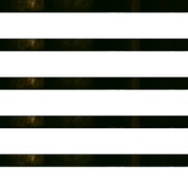 Devedikeni Tohumu Tane 100g thumbnail 2