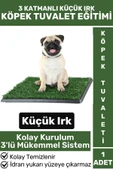 Pet Evcil Hayvan Köpek Eğitim 3 Katmanlı Sızdırmaz Kolay Temizlenir Küçük Irk Yavru Köpek Tuvaleti - 1