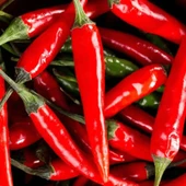 Ata Tohumları Geleneksel Malagueta Chili Acı Biber Tohumu (10 Tohum) - 1