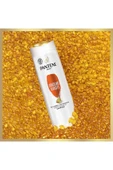 Pantene Pro-V Şampuan Dökülme Karşıtı 350 ml - 3