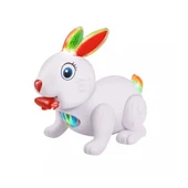 Can Ali Toys Kutuda Pilli Tavşan - 2