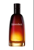 Christian Dior Fahrenheit Erkek Parfüm EDT 100 ML - 2