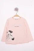 Toontoy Kız Çocuk Zebra Baskılı Nakışlı T-Shirt - 6