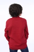 Toontoy Erkek Çocuk Kurt Baskılı Sweatshirt - 4