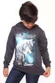 Toontoy Erkek Çocuk Baskılı Sweatshirt - 3
