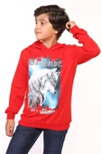 Toontoy Erkek Çocuk Baskılı Sweatshirt - 5