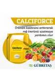 GÜBRETAŞ CALCIFORCE SIVI GÜBRE - 20 LT - 2