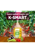 GÜBRETAŞ K-SMART - SIVI GÜBRE (20 LT) - 3