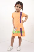 Toontoy Kız Çocuk Cepli Şeritli Tavşan Baskılı Elbise - 4